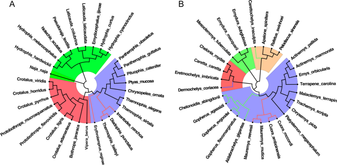 ybaY protein (Escherichia coli K12) - STRING interaction network