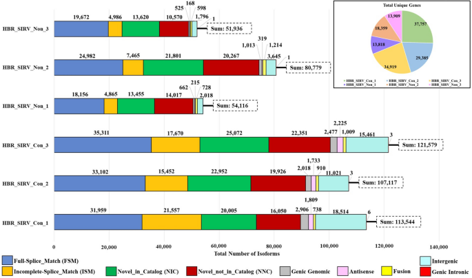 New Dimensions in Cancer Biology: Updated Hallmarks of Cancer Published -  American Association for Cancer Research (AACR)