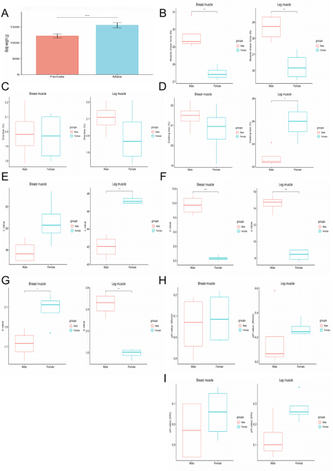 Integrating transcriptome and metabolome reveals sex-dependent meat quality regulation in Qiandongnan Xiaoxiang chickens | BMC Genomics | Springer Nature Link Integrating transcriptome and metabolome reveals sex-dependent meat quality regulation in Qiandongnan Xiaoxiang chickens | BMC Genomics | Springer Nature Link