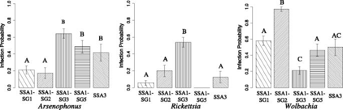 Methods for the Extraction of Endosymbionts from the Whitefly