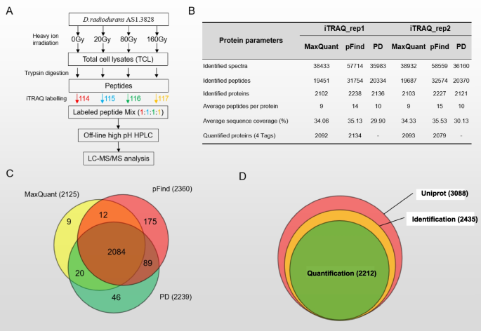 Accumulation of Mn(II) in Deinococcus radiodurans Facilitates