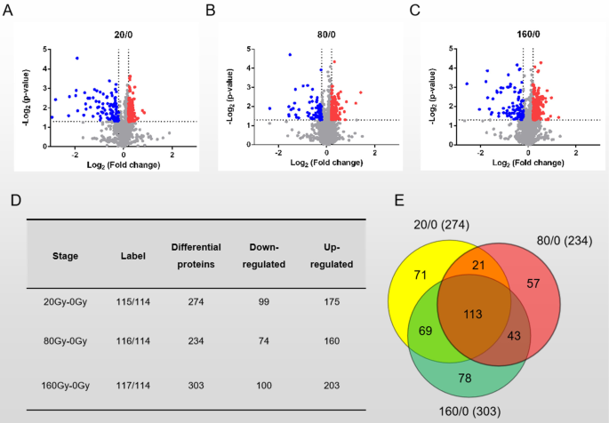 A new perspective on radiation resistance based on Deinococcus