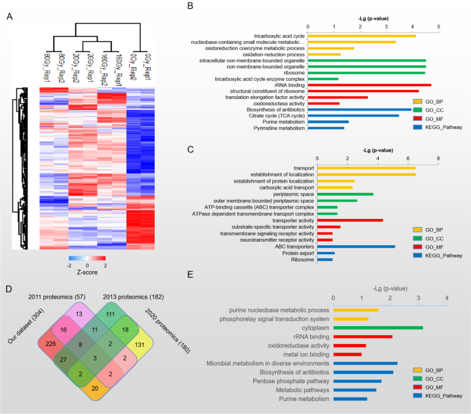 Deinococcus radiodurans — the consummate survivor