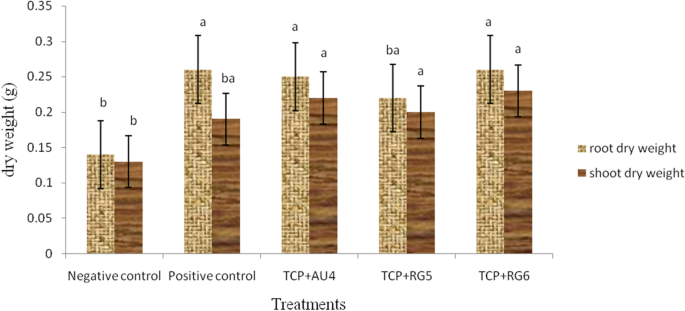 Frontiers  Mucilaginibacter sp. K Improves Growth and Induces