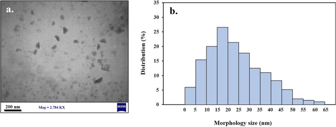 Antimicrobial activity of D-amino acid in combination with photo-sonoactivated hypericin nanoparticles against Acinetobacter baumannii
