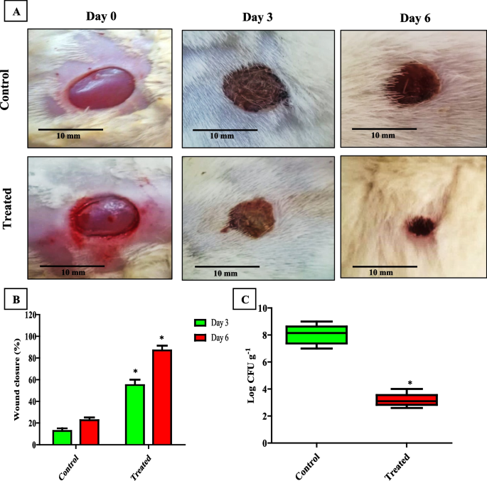 Biofilm-Associated Agr and Sar Quorum Sensing Systems of Staphylococcus  aureus Are Inhibited by 3-Hydroxybenzoic Acid Derived from Illicium verum