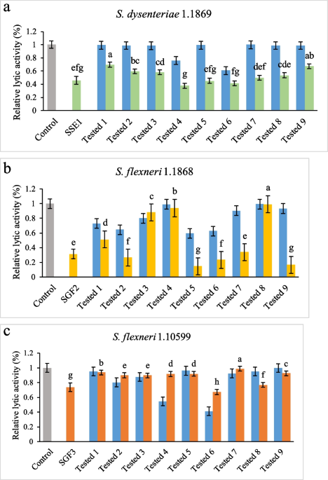Synergistic action of phages and lytic proteins with antibiotics: a combination strategy to target bacteria and biofilms