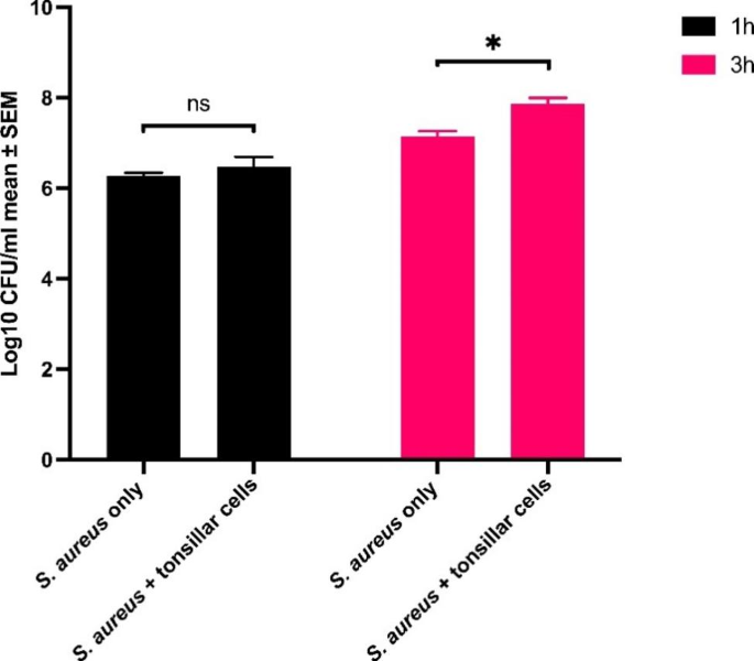 Staphylococcus aureus host interactions and adaptation