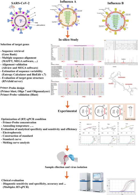 Development of a robust TaqMan probe-based one-step multiplex RT-qPCR for simultaneous detection of SARS-CoV-2 and Influenza A/B viruses