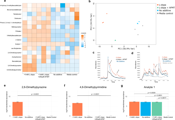 Identification of volatile metabolites produced from levodopa metabolism by different bacteria strains of the gut microbiome
