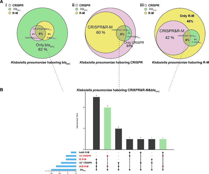 CRISPR-Cas3 and type I restriction-modification team up against bla_KPC-IncF plasmid transfer in Klebsiella pneumoniae