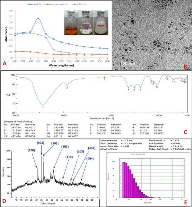 Green synthesis of zinc oxide nanoparticles (ZnO-NPs) by Streptomyces baarnensis and its active metabolite (Ka): a promising combination against multidrug-resistant ESKAPE pathogens and cytotoxicity