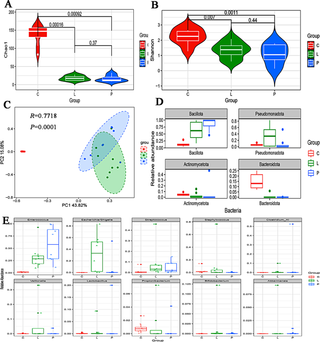 Gut microbiota in preterm infants with late-onset sepsis and pneumonia: a pilot case-control study