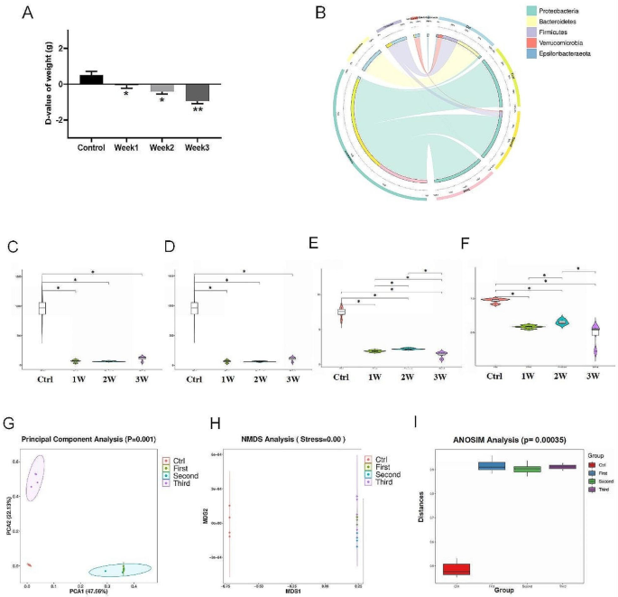Effects of antibiotic cocktail on the fecal microbiota and their potential correlation of local immune response