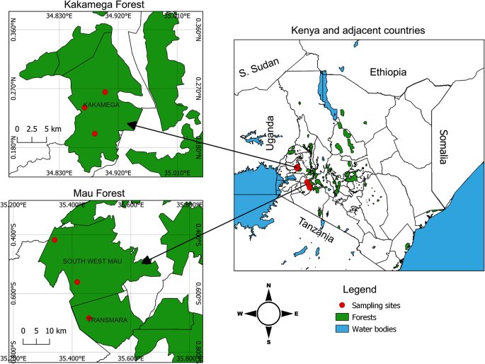 Unearthing Lactococcus lactis and Scheffersomyeces symbionts from edible wood-boring beetle larvae as a bio-resource for industrial applications