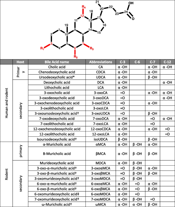 Strain-dependent induction of primary bile acid 7-dehydroxylation by cholic acid