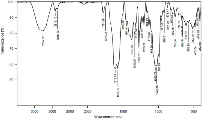Low-dose zinc oxide nanoparticles trigger the growth and biofilm formation of Pseudomonas aeruginosa: a hormetic response
