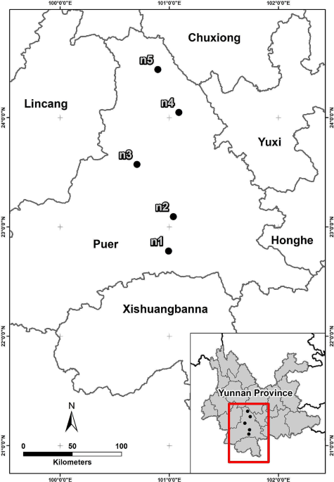 Rhizosphere microbial community construction during the latitudinal spread of the invader Chromolaena odorata