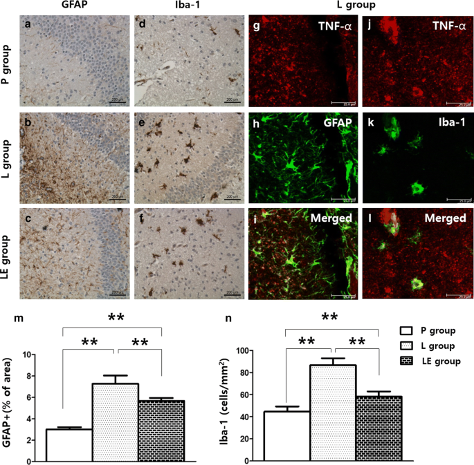 TNF-α antagonist attenuates systemic lipopolysaccharide-induced