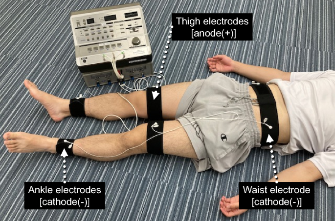 Effects of electrical muscle stimulation on cerebral blood flow