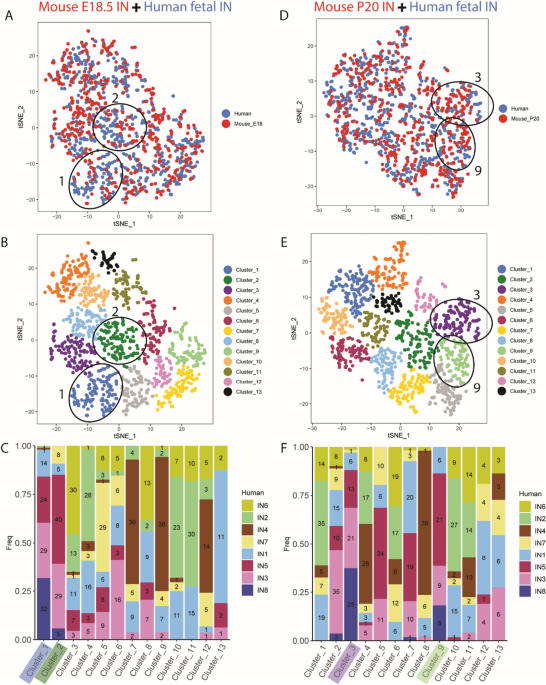 File:Diep.io classes.png - Wikimedia Commons