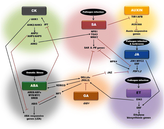 Plant hormone-mediated regulation of stress responses | BMC Plant Biology |  Springer Nature Link