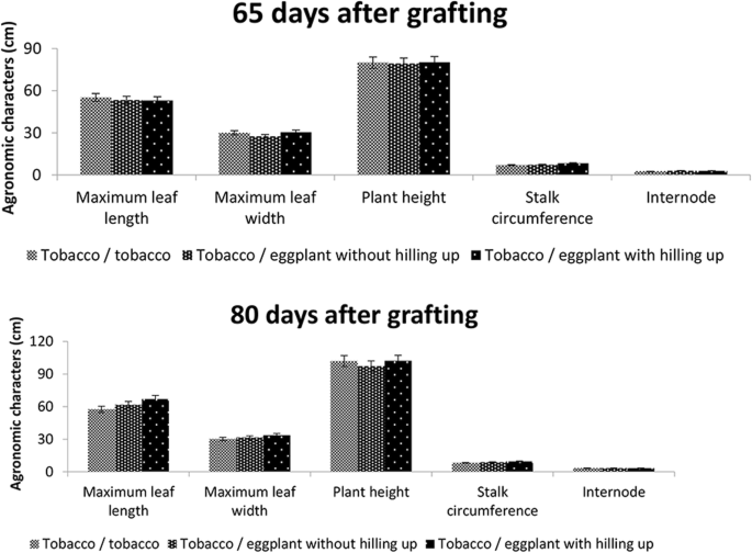 Reducing the nicotine content of tobacco by grafting with eggplant | BMC  Plant Biology