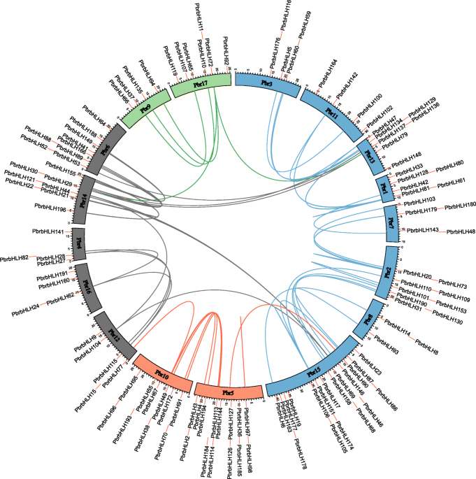 Genome-wide identification and comparative analysis of the heat shock  transcription factor family in Chinese white pear (Pyrus bretschneideri)  and five other Rosaceae species, BMC Plant Biology