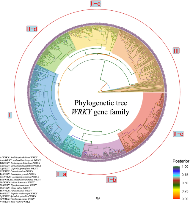 Selection of reference genes for gene expression analysis in Liriodendron  hybrids' somatic embryogenesis and germinative tissues