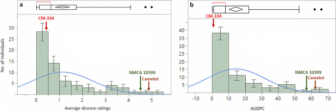 Genomic regions and candidate genes linked with Phytophthora capsici root rot resistance in chile pepper (Capsicum annuum L.)