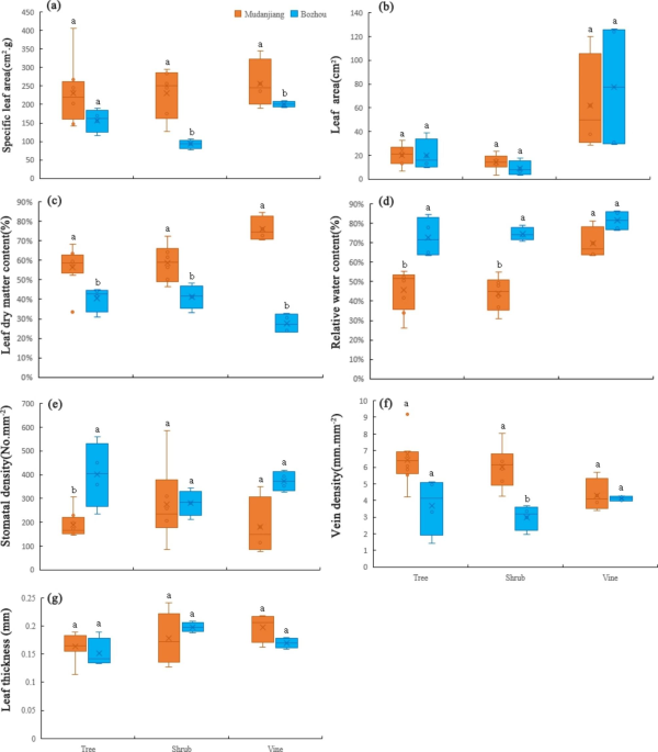 The Evolution of Plant Functional Variation: Traits, Spectra, and