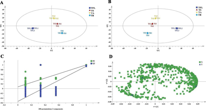 Frontiers  Quality evaluation of compounds in leaves of six Taxus