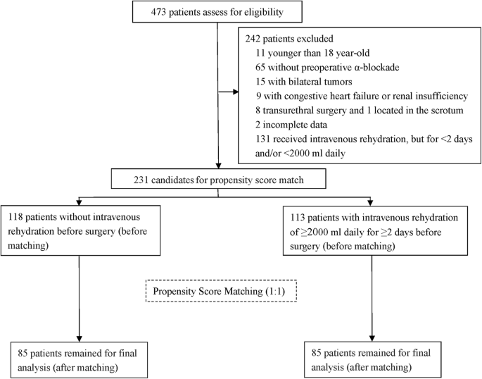 View of Surgical and Pharmacological Management of Functioning  Pheochromocytoma and Paraganglioma