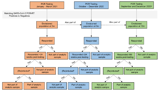Developing survey weights to ensure representativeness in a national, matched cohort study: results from the children and young people with Long Covid (CLoCk) study