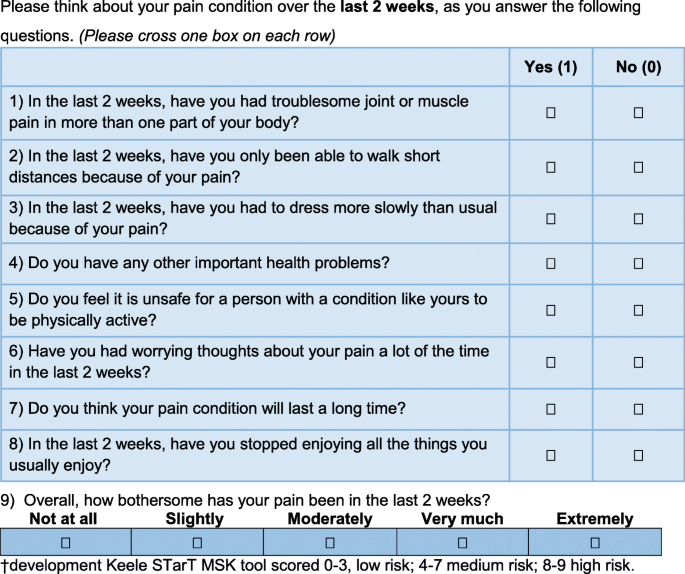 Resenha - Questionário STarT Back Screening Tool - Fisioterapia Ortopédica