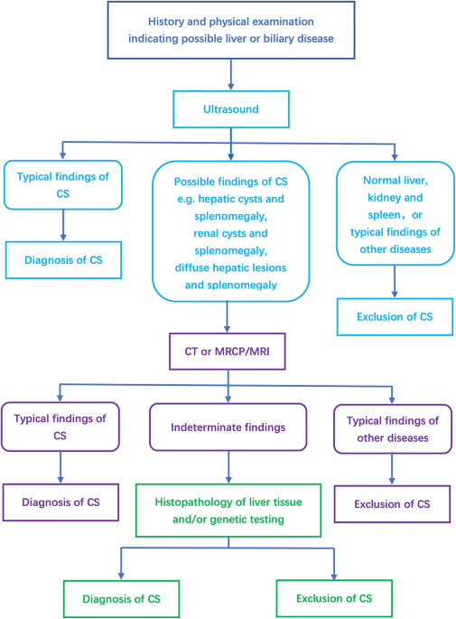 Factors contributing to diagnostic delay of Caroli syndrome: a  single-center, retrospective study | BMC Gastroenterology | Full Text