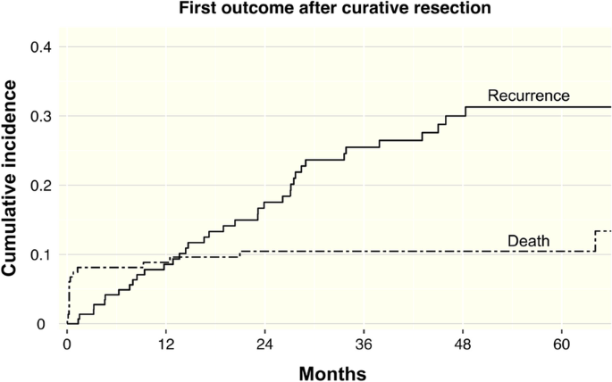 Kaplan-Meier curves showing the cumulative incidence of recurrence.