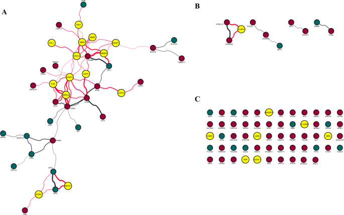 Markers of immune dysregulation in response to the ageing gut: insights from aged murine gut microbiota transplants