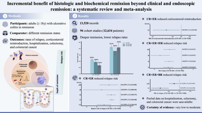 Hierarchical benefit of multidimensional remission in ulcerative colitis: a systematic review and meta-analysis