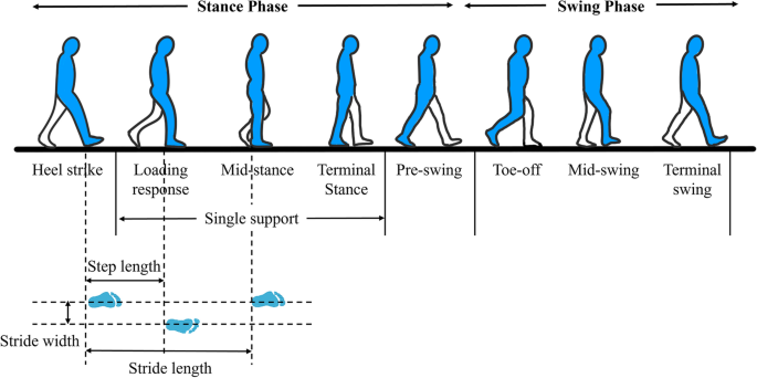 Comparative study of young-old and old-old people using functional  evaluation, gait characteristics, and cardiopulmonary metabolic energy  consumption | BMC Geriatrics | Full Text