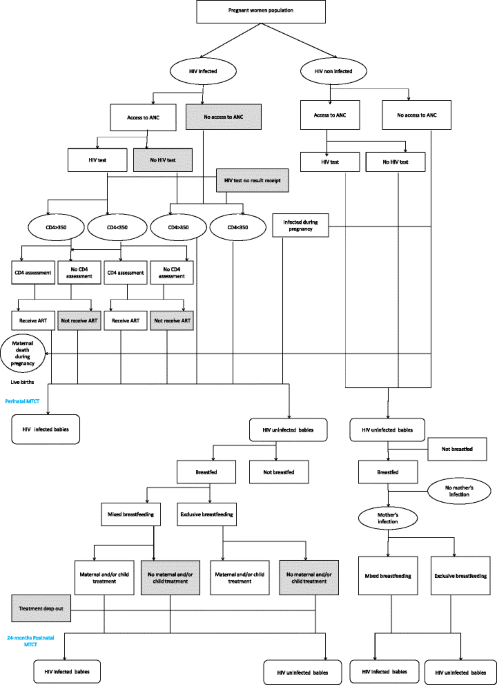 Estimating mother-to-child HIV transmission rates in Cameroon in 2011: a  computer simulation approach, BMC Infectious Diseases