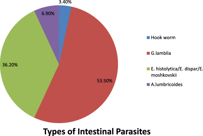 Intestines, People Playground Wiki