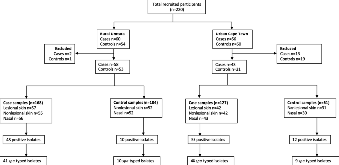 Association of Staphylococcus aureus colonization with food allergy occurs  independently of eczema severity - ScienceDirect