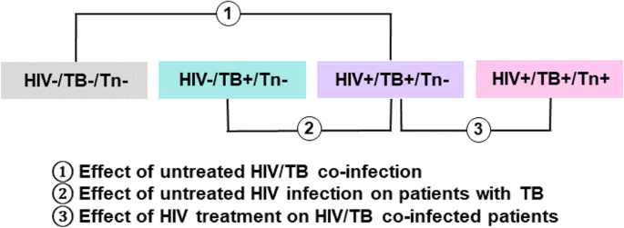 Polyamine metabolism impacts T cell dysfunction in the oral mucosa of  people living with HIV