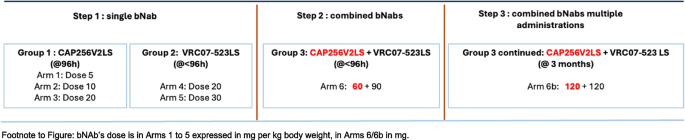 Safety and pharmacokinetics of subcutaneous administration of broadly neutralizing anti-HIV-1 monoclonal antibodies (bNAbs), given to HIV-1 exposed, uninfected neonates and infants: study protocol for a phase I trial