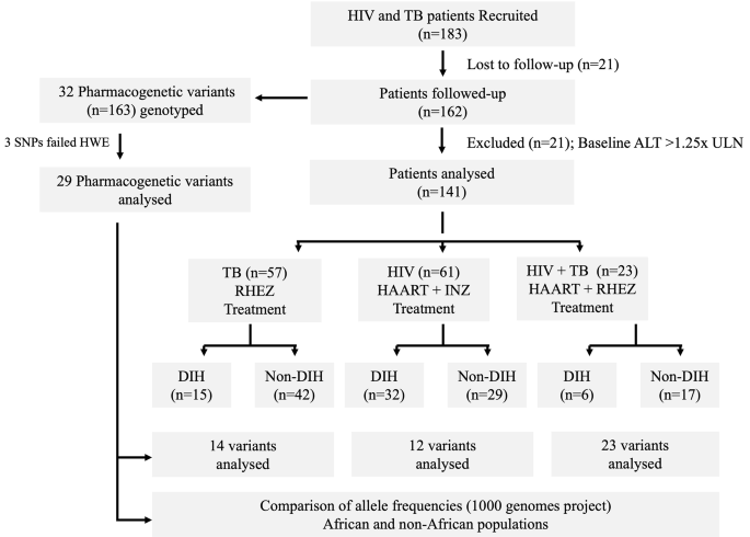 Drug-induced hepatotoxicity and association with slow acetylation variants NAT2*5 and NAT2*6 in Cameroonian patients with tuberculosis and HIV co-infection