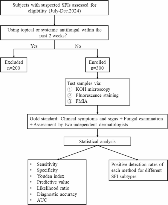 Automatic fluorescence microscopic image analyzer: a novel AI-based tool for early diagnosing superficial fungal infections