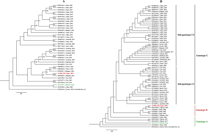 Image via link.springer.com