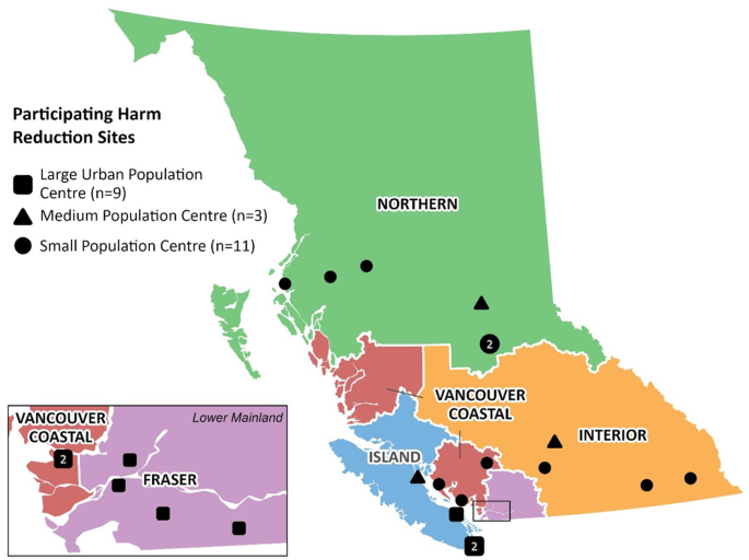 Sexually transmitted and bloodborne infections testing among people who use substances: findings from the 2023 British Columbia Harm Reduction Client Survey