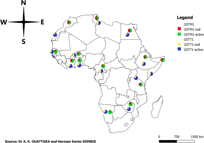 Glutathione S-transferase M1 and T1 genes deletion polymorphisms and risk of developing essential hypertension: a case-control study in Burkina Faso population (West Africa) | BMC Medical Genetics